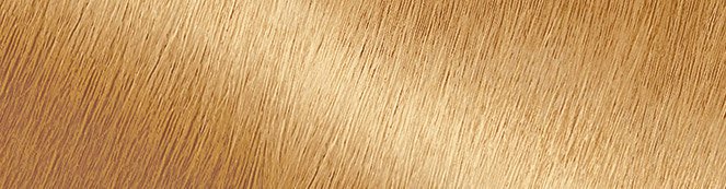 | Nr. Honigblond Haarfarbe 8.31 in – Garnier dauerhafte