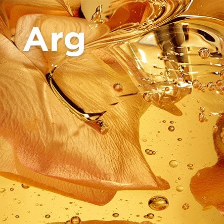 Arganfrüchte